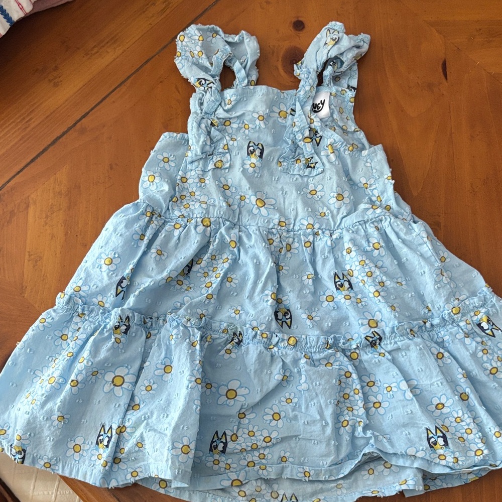 Adorable Light Blue Floral Kids Dress